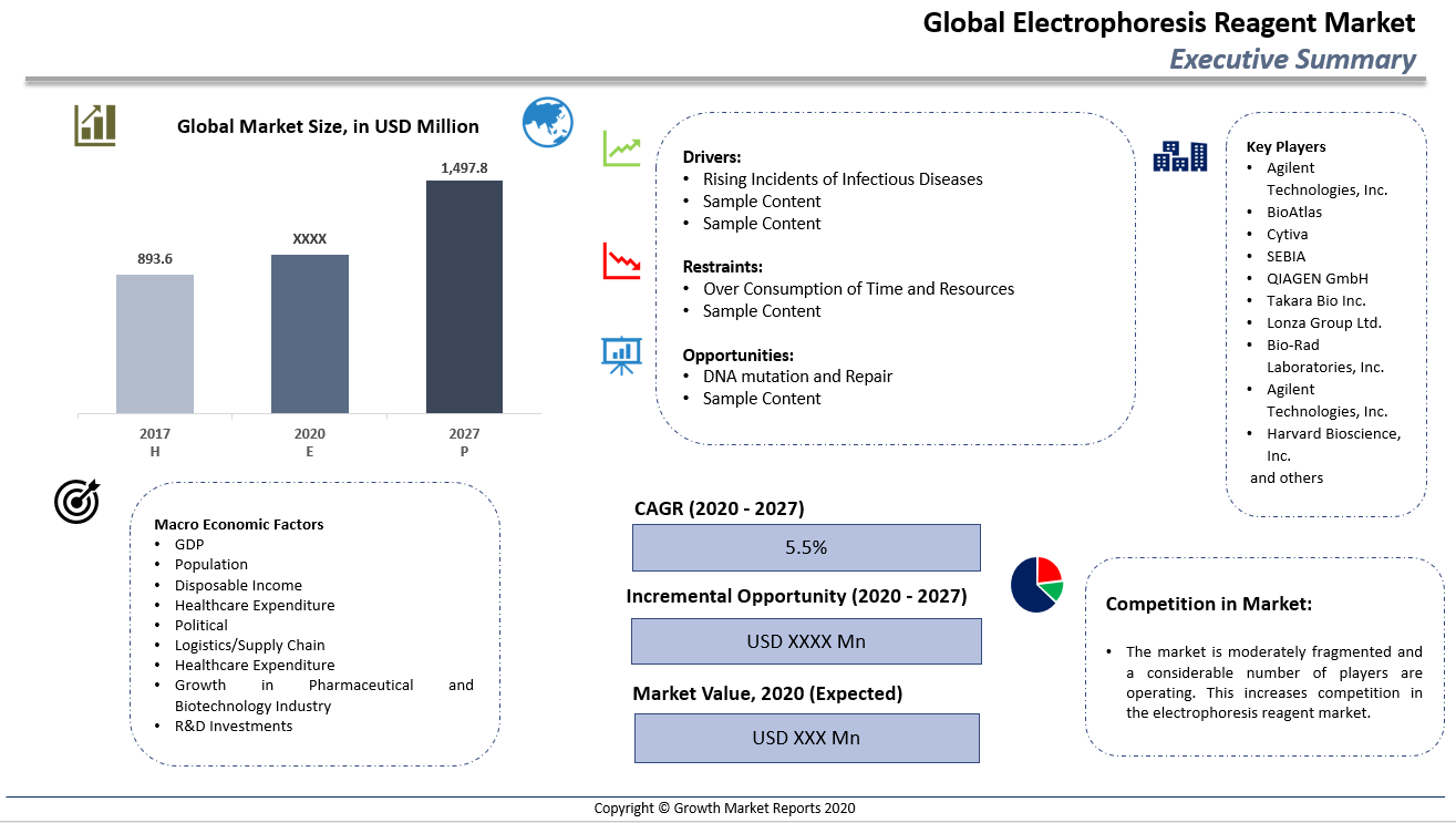 Global Electrophoresis Reagents Market Summary
